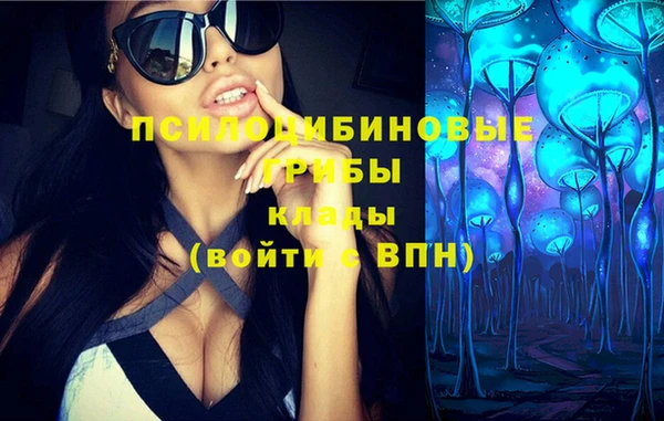 таблы Алексин