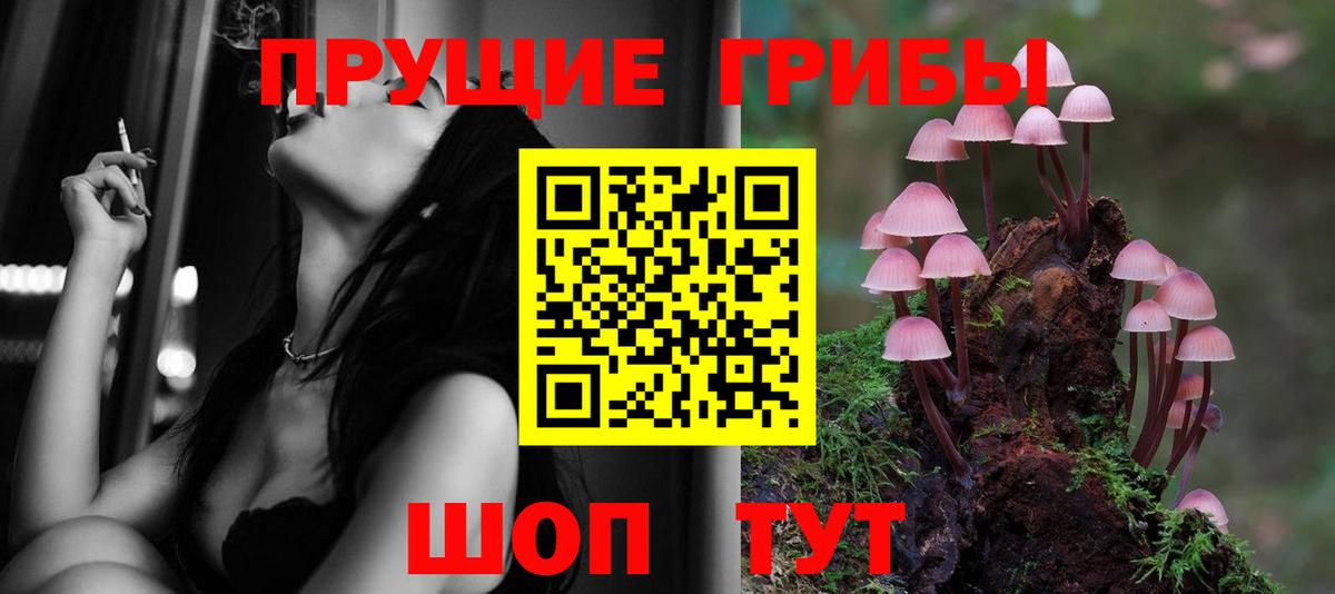 Апатиты  Псилоцибиновые грибы Psilocybe  Вход с VPN 