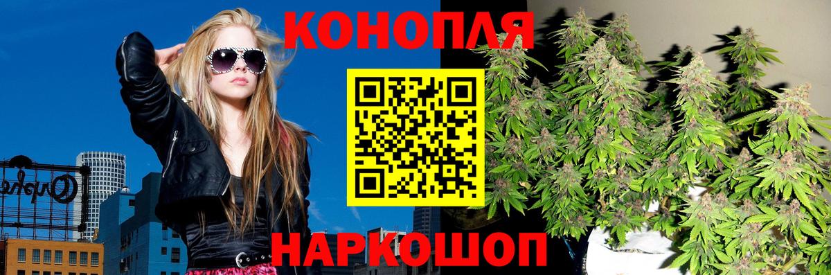 Каннабис Bruce Banner  Бошки Шишки семена  Апатиты  Вход с VPN  Марихуана OG Kush 